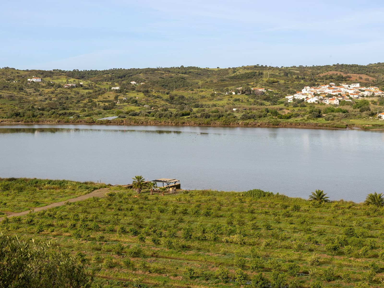 El Guadiana visto desde la finca, con las líneas de plantación en primer plano y las casas blancas de la orilla portuguesa al fondo