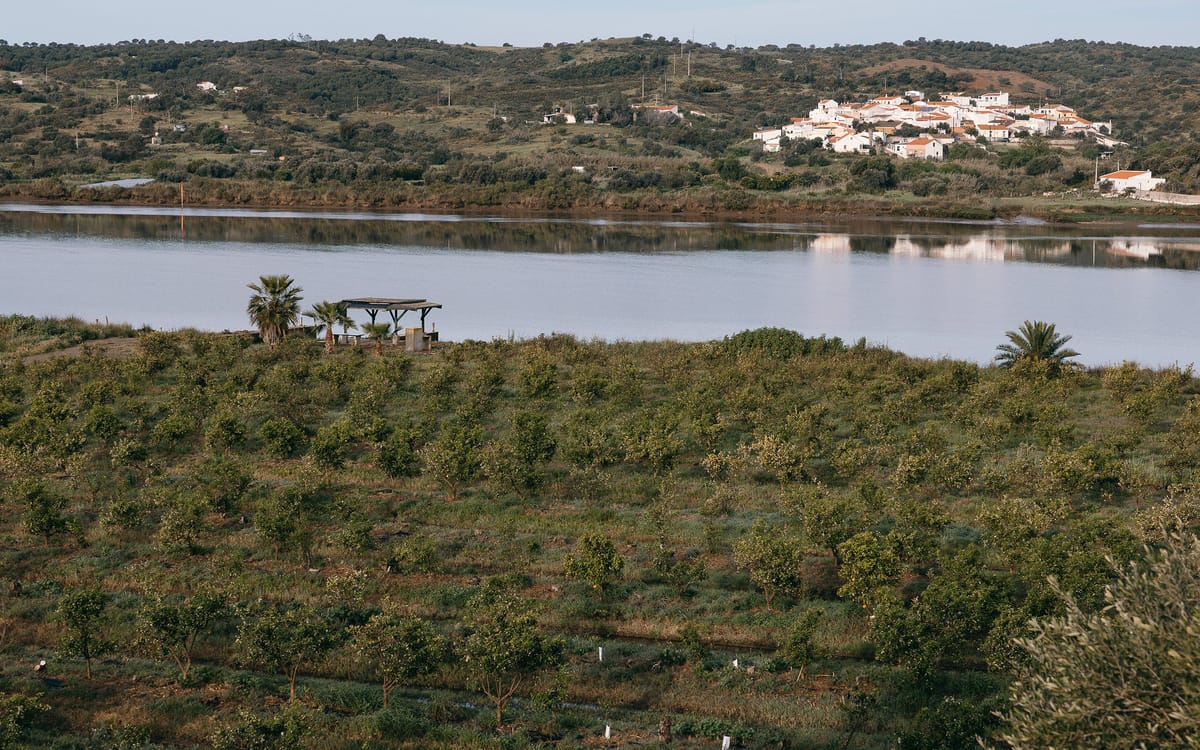Las plantaciones de lima bajando hacia el Guadiana, con el río en calma y un pueblo de casas blancas en la orilla portuguesa al fondo