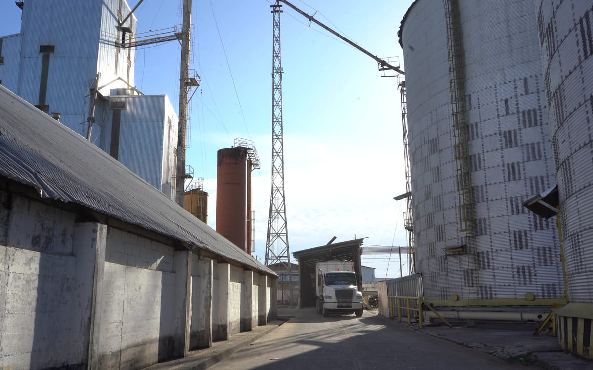 El patio de la planta entre los silos de hormigón y el galpón de almacenamiento, con un camión cargando al fondo