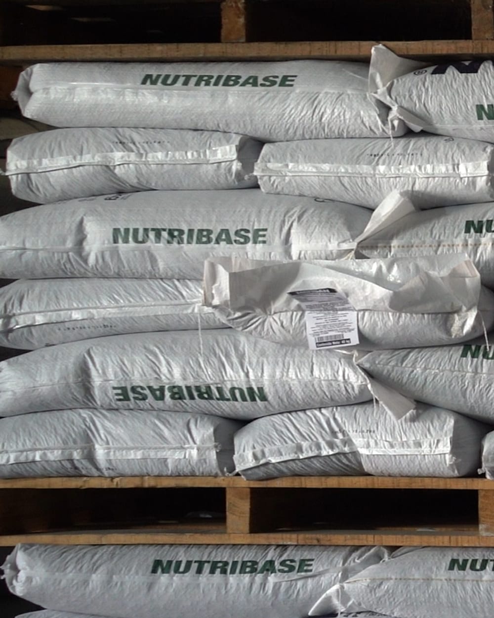 Palés de sacos de alimento Nutribase apilados hasta el techo del almacén